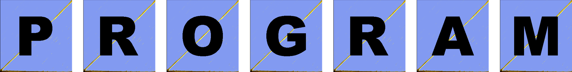 Program