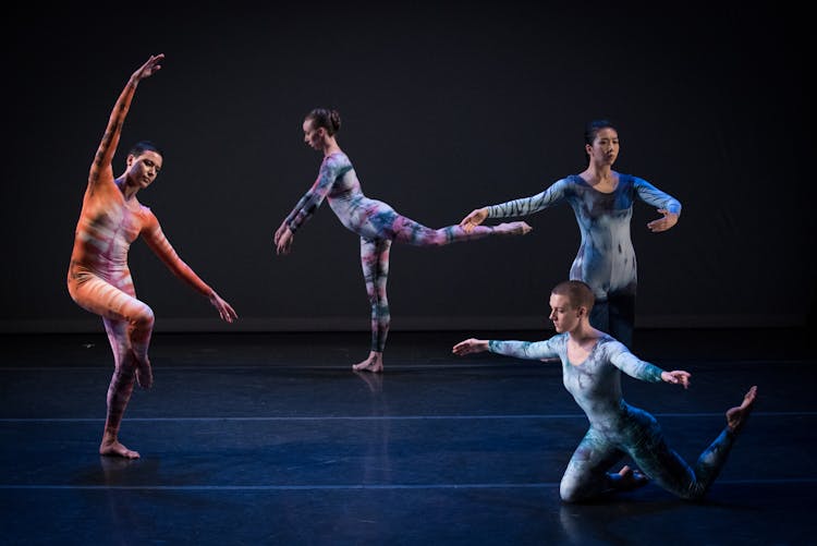 Roaratorio | Choreography by Merce Cunningham | Photograph by Hillary Goidell | 2019